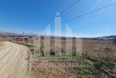 Teren intravilan | 800 mp | 40 ml deschidere | Micesti - 4
