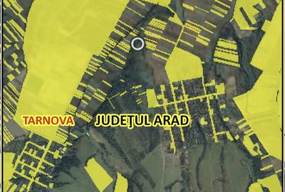 Teren forestier 27,27 ha, Valea Lugojului, Acces facil, 10.000 €/ha - 1