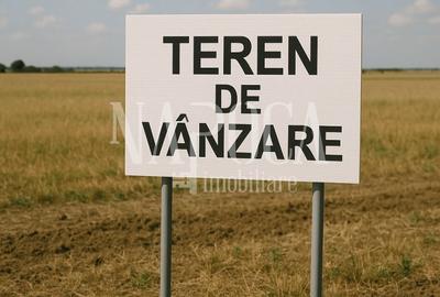 Teren intravilan pentru constructii de vanzare in Salicea - 1