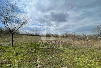 Teren intravilan pentru investitie, 2896 mp, Herneacova Timis - 8