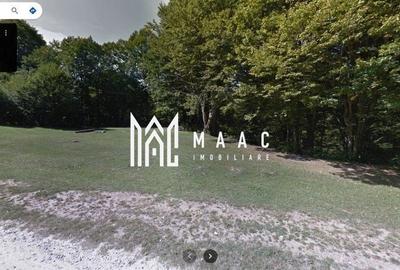 Teren Intravilan |2000Mp| Valea Avrigului - 2