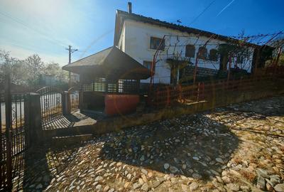 Casa + teren 3233 mp Darmanești Arges - 3
