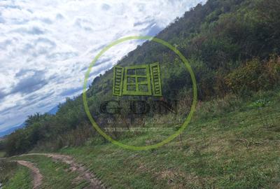 Teren extravilan 700mp in Gusterita. - 2