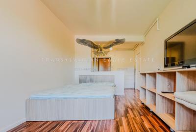 Garsonieră decomandată, mobilată în Plopilor