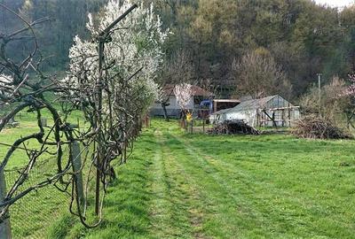 Casa si 3919 mp teren intravilan  in  Bucuresci, jud. Hunedoara - 7