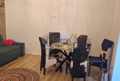 Apartament tip casa cu terasa si curte cu acces separat in Marasti - 5