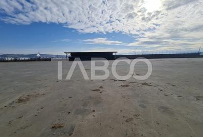 Spatiu industrial de inchiriat in Sebes judetul Alba - 8
