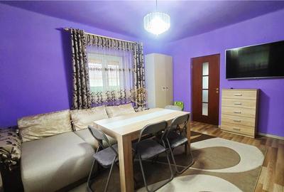 VIDEO | Casa cu teren generos si deschidere la 3 strazi | 10 minute de Satu Mare - 9