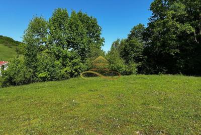 Teren intravilan de vanzare 1439 mp Luncani strada Slatinei - Bacau - 7