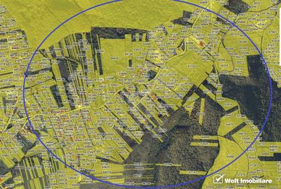 Teren intravilan, Front 31m,  Salicea - 3