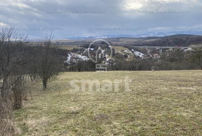 Teren intravilan cu CF 5400mp front 17 Savadisla jud Cluj - 12