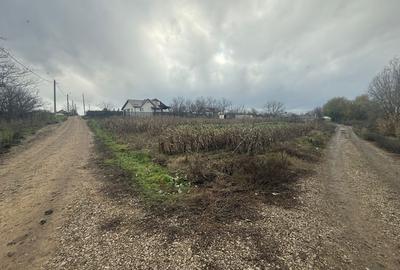 Direct Proprietar Teren 2.000 Mp | Ileana - Calarasi | Dubla Deschidere Stradala - 1