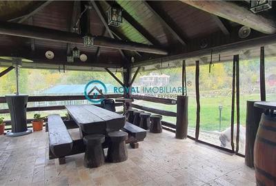 Royal Imobiliare -vanzare vila/ casa de vacanta zona CAMPINA - 26