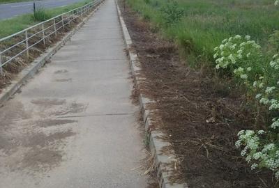 EXCLUSIV! Teren intravilan 2500 mp-2 Mai (Mangalia, Vama Veche)- 25 euro/mp (E3) - 4
