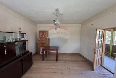 Gospodarie de vanzare in Giulvaz, judetul Timis - 7