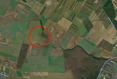 Teren agricol extravilan de 29965 mp, în Balotești