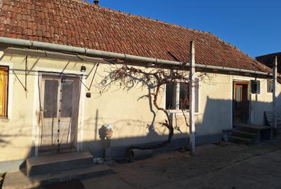 Casa cu teren 5000mp în Sacadat - 4