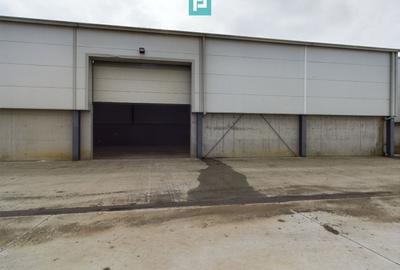 Hală industrială de 411mp Jebel, Timiș - 6