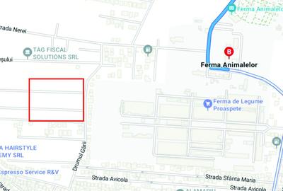 Teren de vanzare - Comuna Pantelimon / Ferma Animalelor - 1