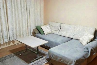 VANZARE AP 2 CAM PARTER  STRADA ALIORULUI - 1