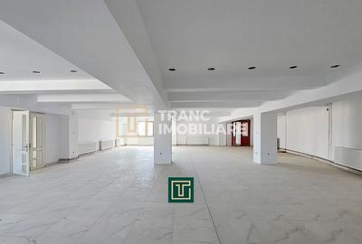 Proprietate multifunctionala - teren generos, cladire si hala in Lugoj - 17