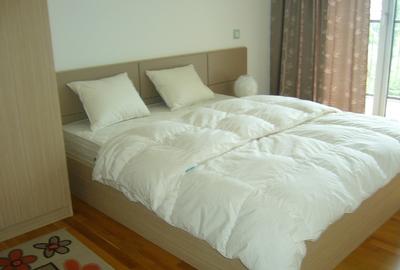 Apartament  cu 3 camere de inchiriat in Asmita Gardenst - 1