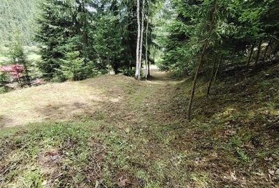 Casa de vacanta nefinalizata (Gheorgheni, zona Magasbukk, km 5) - 18