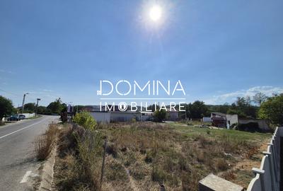 Teren de vanzare in Ursati, pretabil constructii rezidentiale  si comerciale - 3