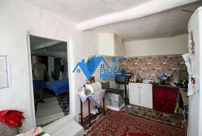 Casa cu teren in Salcioara (Jurilovca) - 2600mp - 16