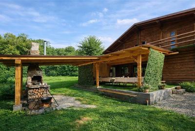 Resedinte montane,mobilate,echipate, jacuzzi,piscina,pretios areal,Sambata de Su - 15