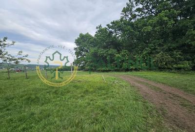 Teren 5.000 mp cu priveliște superbă – Cisnădie, Sibiu - 5