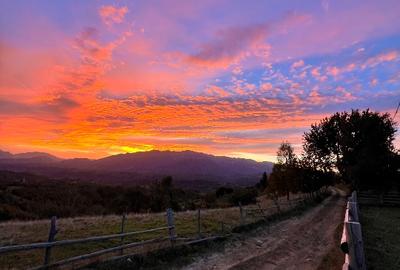 Teren intravilan (18066 mp) si extravilan (4566 mp) in sat Pestera, com Moieciu - 13