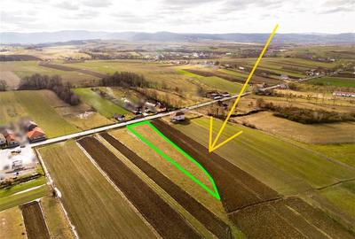 Teren Construcții intravilan de 2900 mp, în Borod