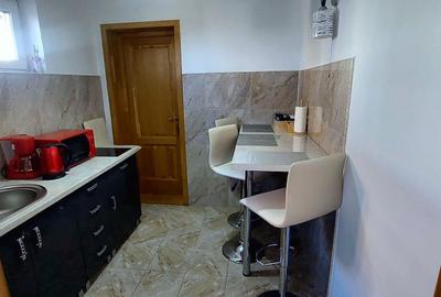 APARTAMENT PREMIUM LA CASA 4 CAMERE SI CURTE | SUB ARINI - 9