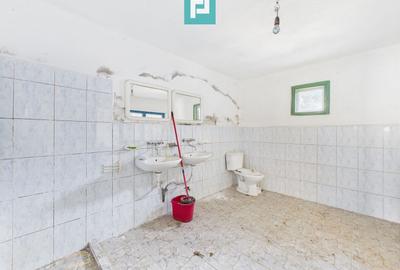 Clădire cu 5 camere cu teren și hală în Cenad - 12