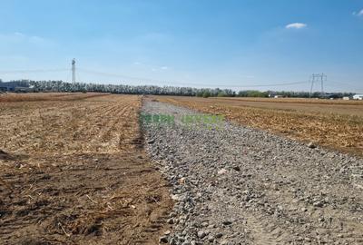 Vânzare teren industrial 2.000 mp Frumușani - 1