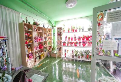 🏡 Casă de vânzare în Cristur – Str. Ulița Mare nr. 43 - 5