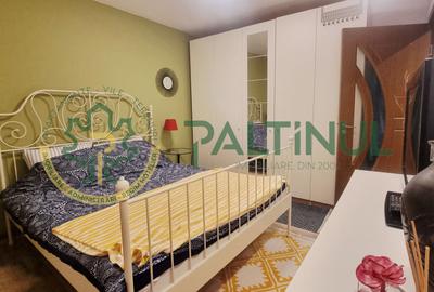 Apartament 2 camere cu balcon, renovat complet, Terezian - 4