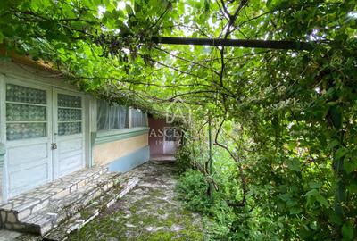 Domeniu 15.900 mp în Fințești | Casă + Investiție Dealu Mare - 4