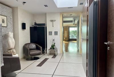 Penthouse spectaculos cu vedere catre parc - 32