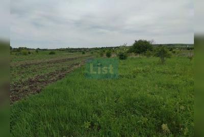 Comision 0%! Oportunitate, teren intravilan, 800 mp Masterplan, Sopor - 2