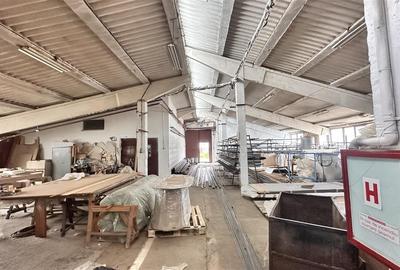 Hale industriale Teliu - 145000e  200.000e  450000e - 3