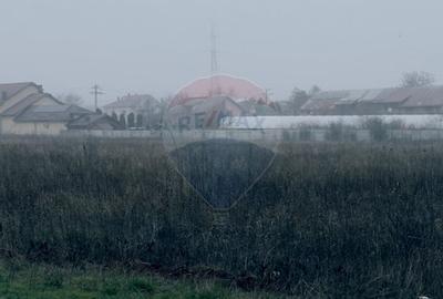 Teren 5,000mp Caracal, parcelabil, zona in dezvoltare - 1