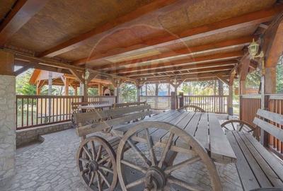 Casă / Vilă cu 16 camere de vânzare Sanmartin/Stefan cel Mare - 17