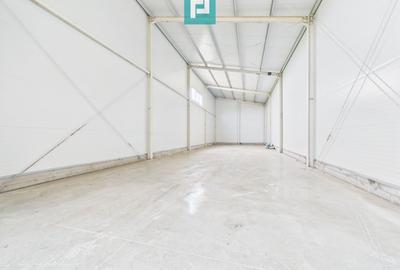 Hală nouă 563mp în zona industrială Sânandrei - 3