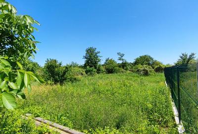 Lot pentru două case – Corbeanca Tamași - 16