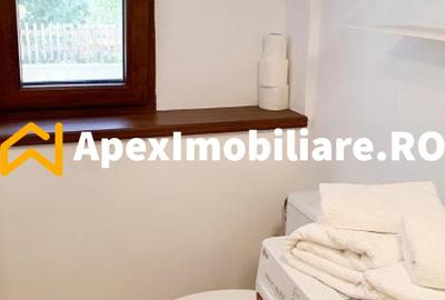 Apartament 2 camere de inchiriat Herastrau București | ApexImobiliare.ro - 16