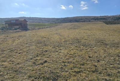 Teren Construcții extravilan de 10100 mp, în Iris