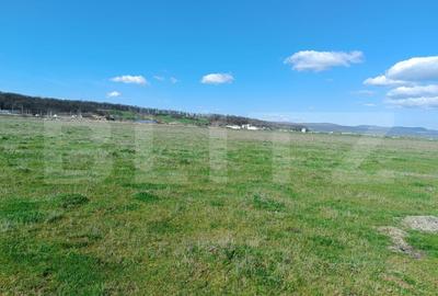 Teren agricol extravilan de 15000 mp, în Nord-Vest