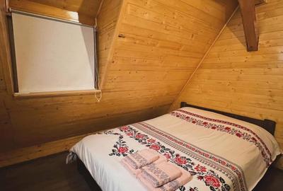 Cabana cu vedere la lac, 8 camere, 200 mp, 1800 mp teren, zona Colibita - 4
